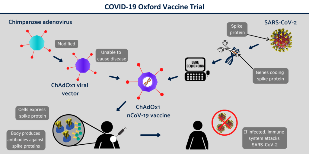 University of Oxford COVID-19 Vaccine